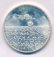 1993. 500Ft Ag "Expo 96" kapszulában T:AU (eredetileg PP) folt
Adamo EM131