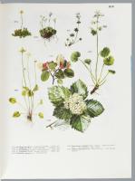 Jávorka Sándor - Csapody Vera: Iconographia Florae Partis Austro-Orientalis Europae Centralis. (IN X...