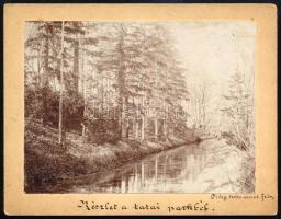 cca 1900 Tata, részlet a tatai parkból, a Diósy testvérek felvétele, keményhátú fotó, 10x13 cm