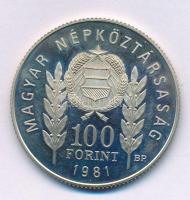 1981. 100Ft Cu-Ni-Zn "Bulgária 1300 éves" műbőr tokban T:AU (eredetileg PP), halvány patina Adamo EM67