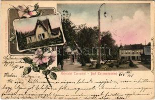 1903 Tarcsa, Tarcsafürdő, Bad Tatzmannsdorf; Mária villa. Hönigmann kiadása, szecessziós-virágos keret / villa, spa. Art Nouveau, floral (EK)