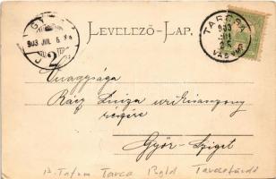 1903 Tarcsa, Tarcsafürdő, Bad Tatzmannsdorf; Mária villa. Hönigmann kiadása, szecessziós-virágos ker...