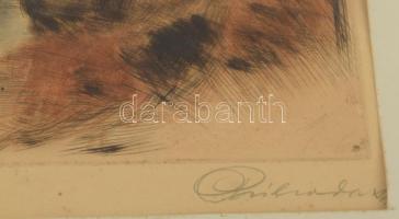 Csók István (1865-1961) - Prihoda István (1891-1956): Züzü olvas. Színezett rézkarc, papír, jelzett ...