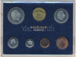Hollandia 1980. 1c "Julianna" - 2 1/2G "Julianna" (6xklf) forgalmi sor műanyag tokban, pénzverdei zsetonnal T:UNC, irizáló patina Netherlands 1980. 1 Cent "Julianna" - 2 1/2 Gulden "Julianna" (6xdiff) coin set in plastic case with mint jeton C:UNC, iridescent patina