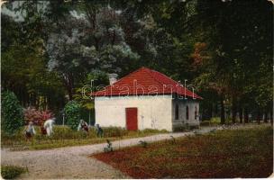 1918 Alváca, Alváca-gyógyfürdő, Vata de Jos (Hunyad); régi fürdőház. Berkovits Izidor kiadása / spa, old bathhouse (apró szakadás / tiny tear)