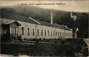 1911 Algyógy, Geoagiul de jos, Geoagiu; M. kir. állami vasgyárak szanatóriuma. Adler fényirda (Szászváros) / sanatorium of the iron factory (EK)