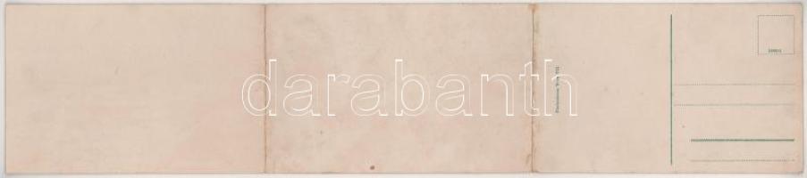 Cetinje, Cettinje, Cettigne; 3-tiled folding panoramacard (creased at fold)