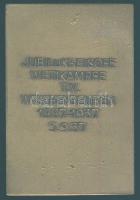 Németország 1937 Náci úszó-érem Br "Dem Sieger" T:1-