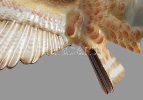 Herendi turul. Kézzel festett, jelzett, hibátlan, 32x19 cm