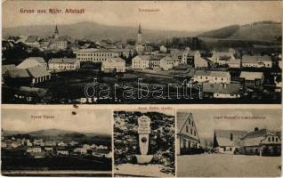 1910 Staré Mesto pod Snezníkem, Mährisch Altstadt; Totalansicht, Neues Viertel, Anna Hehle Quelle, Josef Stanzel's Geschaftshaus / general view, new district, spring source, shop. Verlag Weisel and Kreisel (fl)