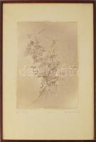 Almásy Aladár (1946-): Ifjú Mózes. Rézkarc, papír, jelzett, számozott (65/100), lapszéli apró foltokkal, üvegezett hakeretben, 38×28 cm