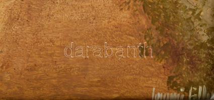 Losonci Lilla (1930 -): Utcarészlet. Olaj, farost, jelzett. Dekoratív, kissé sérült fakeretben. 40x3...