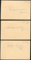1917 3 db Díjkiegészített díjjegyes levelezőlap / PS-cards "EP ALESSIO (LESCH) a", "E...