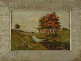 Szongoth Anna (1908-1991): A Csaholy patak Tasnádnál (Szilágyság, Románia), 1920-as évek. Olaj, karton. Jelzés nélkül. Hátoldalán román kiviteli bélyegzéssel. 28,5x42 cm. Dekoratív fakeretben.