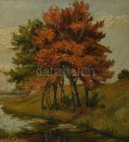 Szongoth Anna (1908-1991): A Csaholy patak Tasnádnál (Szilágyság, Románia), 1920-as évek. Olaj, kart...