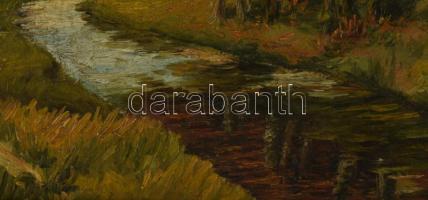 Szongoth Anna (1908-1991): A Csaholy patak Tasnádnál (Szilágyság, Románia), 1920-as évek. Olaj, kart...