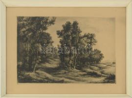 Paulovits Pál (1892-1975): Erdőrészlet. Rézkarc, papír, jeltett, üvegezett fakeretben. 30×44 cm.