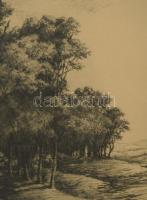 Paulovits Pál (1892-1975): Erdőrészlet. Rézkarc, papír, jeltett, üvegezett fakeretben. 30×44 cm