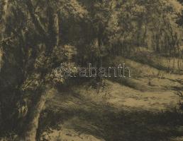 Paulovits Pál (1892-1975): Erdőrészlet. Rézkarc, papír, jeltett, üvegezett fakeretben. 30×44 cm