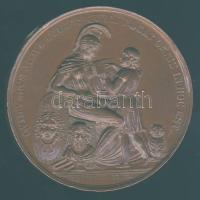 Ausztria DN Anton Joseph Stein 1759-1844, osztrák zenetudós Br emlékplakett / Austria Bronze medal d: 5cm T:2-3