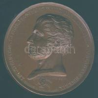 Ausztria DN Anton Joseph Stein 1759-1844, osztrák zenetudós Br emlékplakett / Austria Bronze medal d...