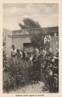 Rome garden in the school for the Blind