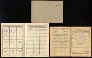 1960-1962 3 db igazolvány: Vízijártassági igazolvány, Magyar Természetbarát Szövetség igazolvány, Lé...