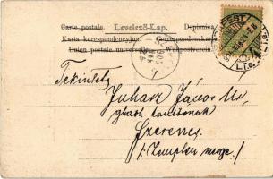 1905 Budapest I. Királyi várkert, látkép a királyi palotától és Lánchíd (EK)