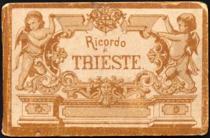 cca 1880-1890 Ricordo di Trieste leporello 12 képpel, kopott borítóval, a hátsó borítón firkával, 7x11 cm