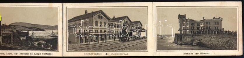 cca 1880-1890 Ricordo di Trieste leporello 12 képpel, kopott borítóval, a hátsó borítón firkával, 7x...