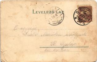 1901 Budapest II. Császár és Szent Lukács fürdő, gőzhajó a Dunán. Art Nouveau, litho (b)