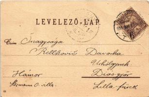 1901 Budapest VIII. Múzeum körút, Nemzeti Múzeum, villamosok (fa)