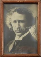 Emil von Sauer (1862-1942) német zongoraművész autográf dedikált fotója. Üvegezett keretben 9x14 cm
