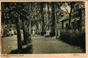 Balatonalmádi-fürdő, sétány, gyógyszertár (felületi sérülés / surface damage)