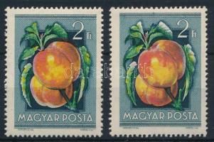 1954 Gyümölcsök (I.) 2Ft eltolódott színnyomattal + támpéldány
