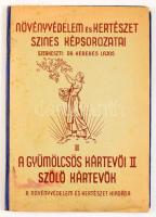 Növényvédelem és Kertészet színes képsorozatai. II. kötet. Szerk.: Kerekes Lajos. A gyümölcs kártevői II. Szőlő kártevők. Bp., [1943], Stephaneum-ny., 20 t. Kissé kopott kiadói illusztrált félvászon mappában.