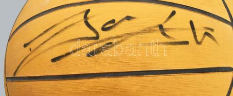 Magyar (többszörös) olimpiai bajnok vízilabdázók által aláírt vízilabda: Kásás Tamás, Benedek Tibor,...