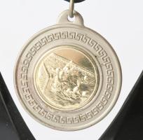 2000 Az Ifjúsági vízilabda bajnok csapat tagjainak a KSI csapat tagjai által aláírt díj. Dömötör Zol...