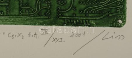 Kiss Ilona (1955-): "Elmentett üzenet", 2001. Linómetszet, magasnyomó formáról készült mél...