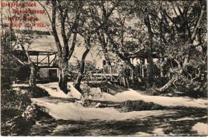 1917 Sarajevo, Urspung des Bosnaflusses / Spring of river Bosna. Serie: Land und Leute in Bosnien und der Hercegovina.
