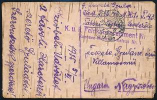 1915 Nyírfakéregből készült tábori lap az orosz frontról Nagyszebenbe. Érdekes darab!! / Field postc...