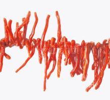 Ágas korall nyaklánc, h: 50 cm