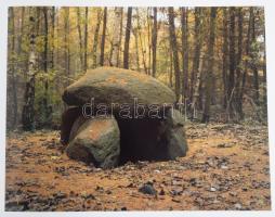 Johannes Groht: Tempel der Ahnen. Megalithbauten in Norddeutschland. Mit einer Einführung von Paul D...