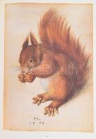 Albrecht Dürer und die Tier- und Pflanzenstudien der Renaissance. Graphische Sammlung Albertina. Mün...