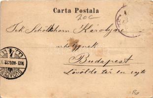 1903 Brezoi, Brezoiu (Valcea); Fabrica Lotru / sawmill, timber factory, wood industry (Rb)