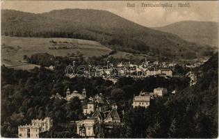 1910 Trencsénteplic, Trencianske Teplice; látkép. Wertheim Zsigmond kiadása / general view (fl)