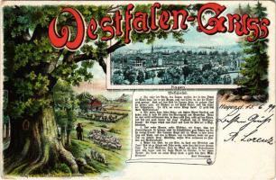 1899 Hagen i. Westfalen; Willy Hoehl Lith-Kunstanstalt / view. litho (EK)