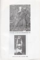 L. Menyhért László: 
Képzőművészeti irányzatok a XX. század második felében. Főiskolai jegyzet. (De...