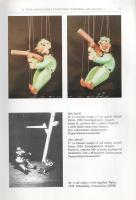 Tóth Gábor Sándor: 
A. Tóth Sándor. Bábművész, festőművész, grafikus és a tanár a Montparnasse-ról....