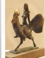 Németh Miklós Attila: 
Kő Pál, a szárnykészítő. [Interjúkötet és képzőművészeti album.] (Kő Pál ált...